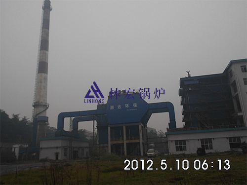 燃生物质循环流化床锅炉（工程案例）