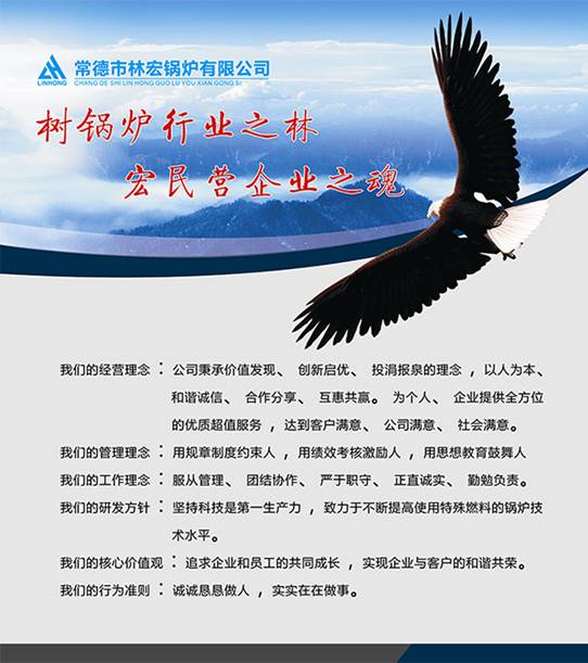 常德市林宏锅炉有限公司,常德特殊燃料锅炉制造,燃生物药渣锅炉研发,生物质锅炉哪里好